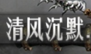 大炮网络